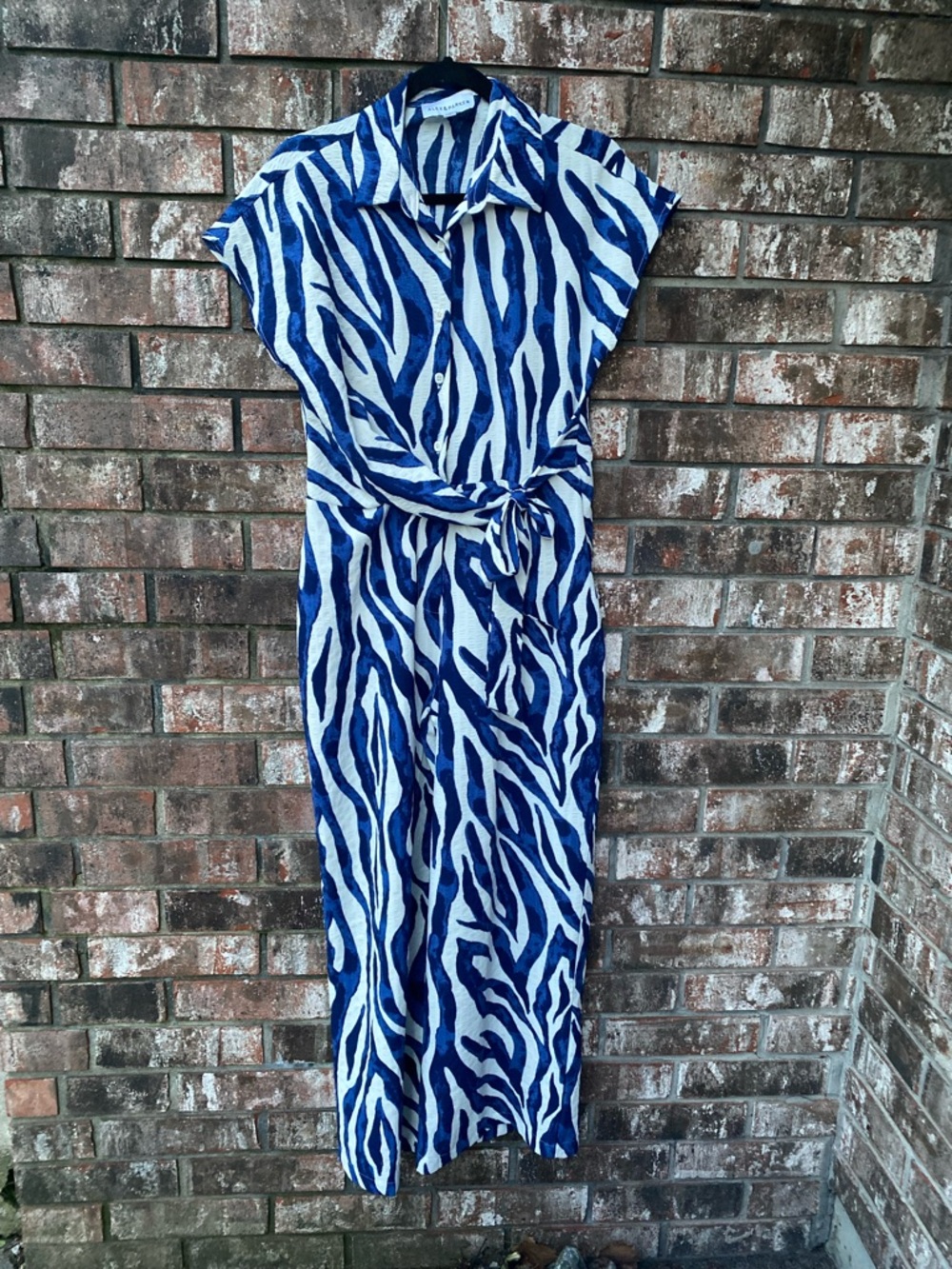 Button-Front Blue & White Zebra Print Jumpsuit